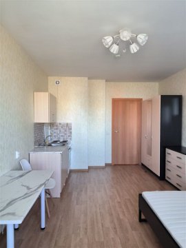 1-к квартира, 8/17 эт., 22м²